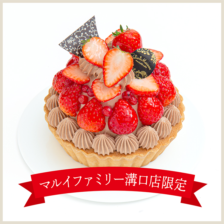 【溝口店限定】ミガキイチゴのショコラクリームタルト